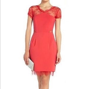 BCBG Nel Dress in Lipstick Red with back lace detail